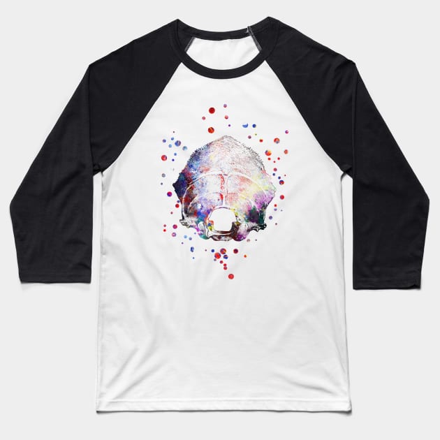 Occipital bone Baseball T-Shirt by RosaliArt